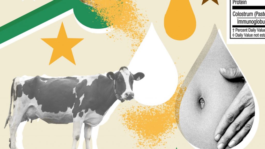 Is bovine colostrum really 'liquid gold' for gut health?